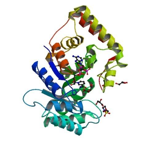 Enzyme Activity Measurement of Succinic Semialdehyde Reductase Using Spectrophotometric Assays